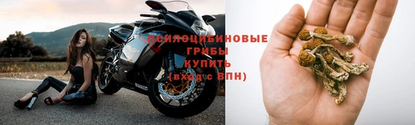 круглые Магас