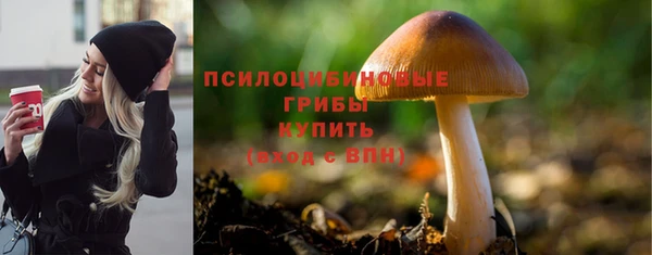 скорость Мегион