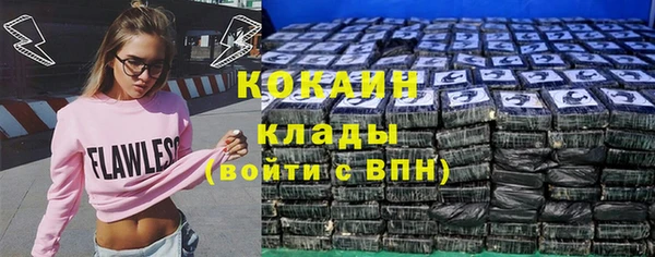 молекула духа Магадан