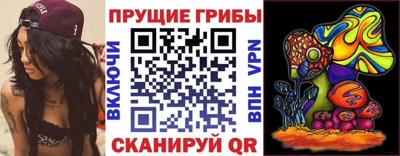 Галлюциногенные грибы ЛСД  Покачи 